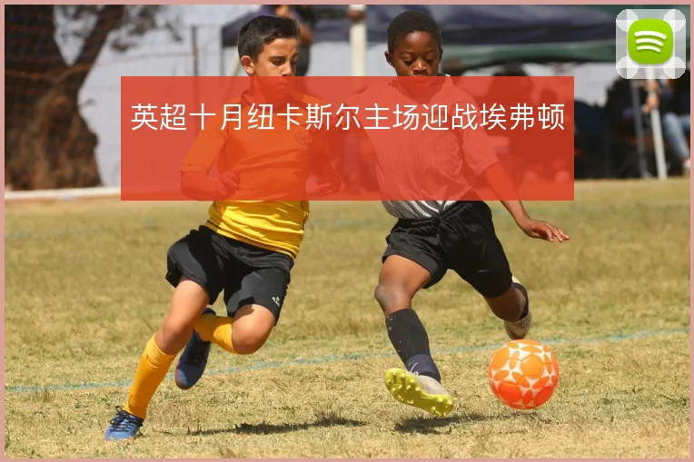 英超十月纽卡斯尔主场迎战埃弗顿