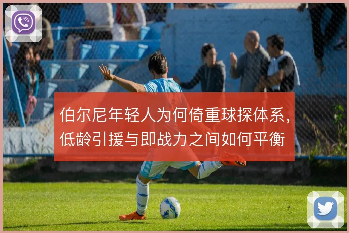 伯尔尼年轻人为何倚重球探体系,低龄引援与即战力之间如何平衡