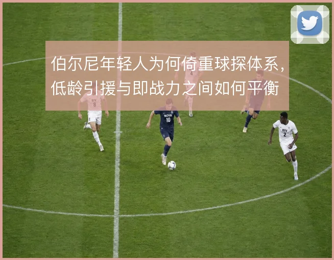 伯尔尼年轻人为何倚重球探体系,低龄引援与即战力之间如何平衡