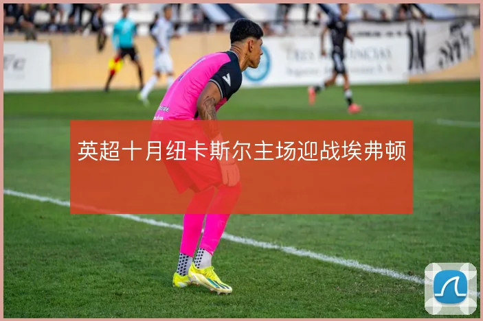 英超十月纽卡斯尔主场迎战埃弗顿