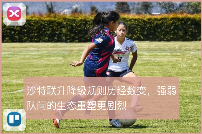 沙特联升降级规则历经数变,强弱队间的生态重塑更剧烈