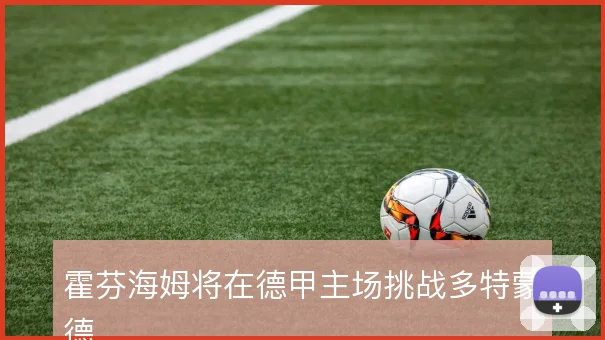 霍芬海姆将在德甲主场挑战多特蒙德